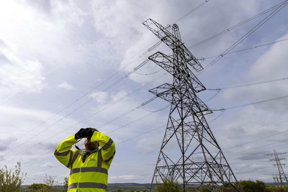 Las eléctricas ven "impensable" que la CNMC baje la retribución a las redes tras el apagón: "España se está jugando mucho"