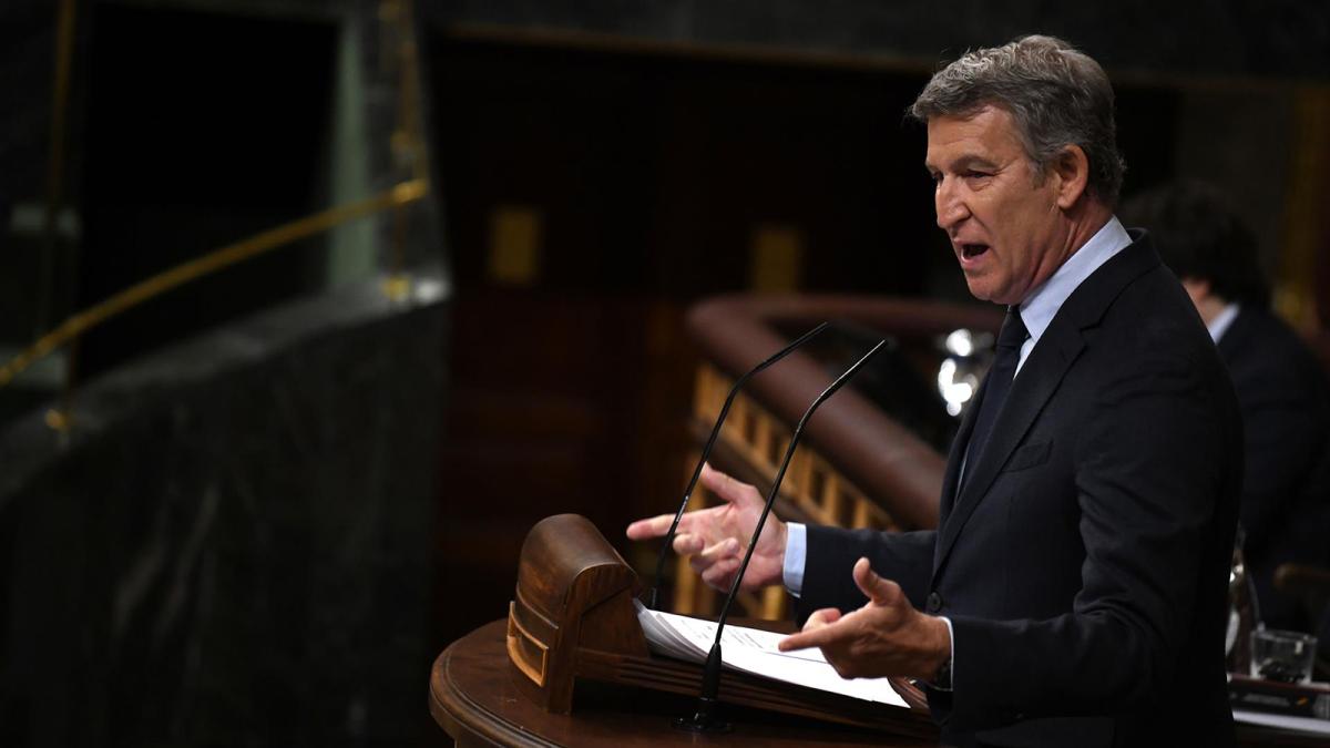 El presidente del PP, Alberto Núñez Feijóo, interviene durante una sesión plenaria, en el Congreso de los Diputado.