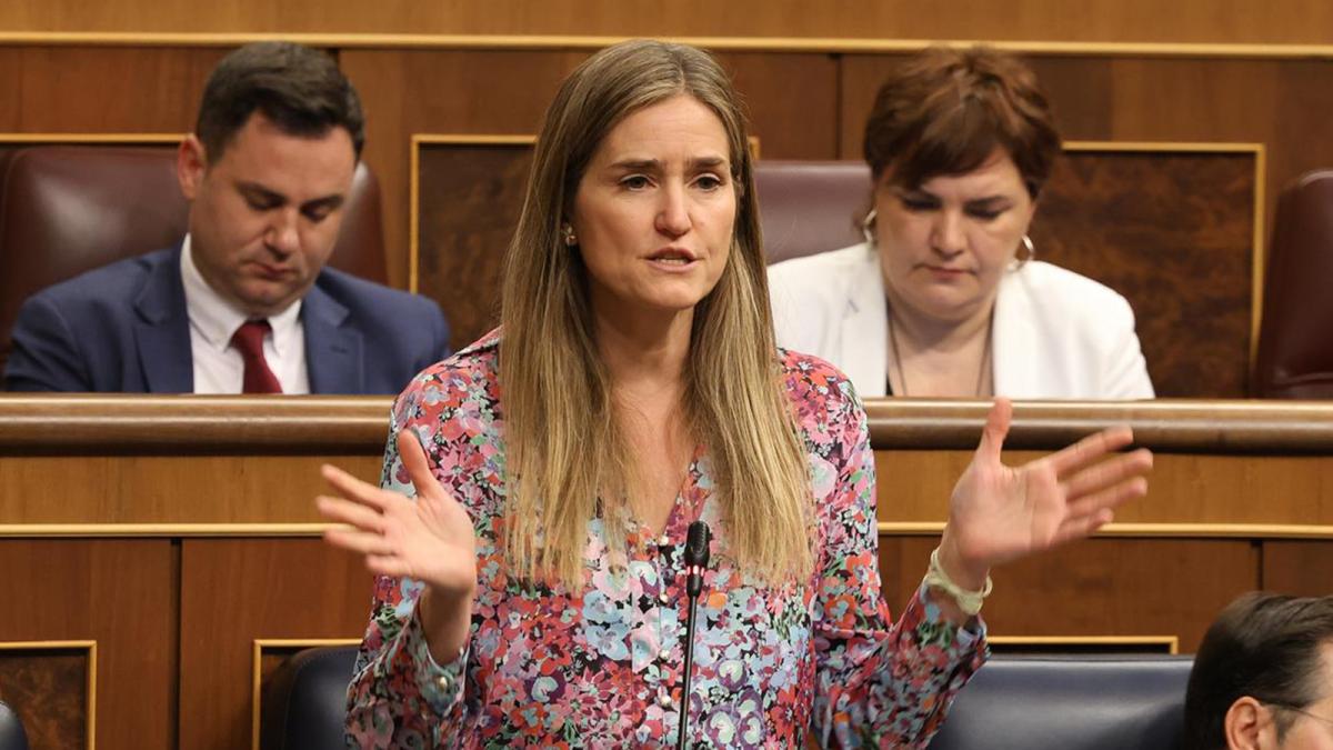 La vicepresidenta tercera y ministra para la Transición Ecológica, Sara Aagesen, interviene durante una sesión de control al Gobierno.