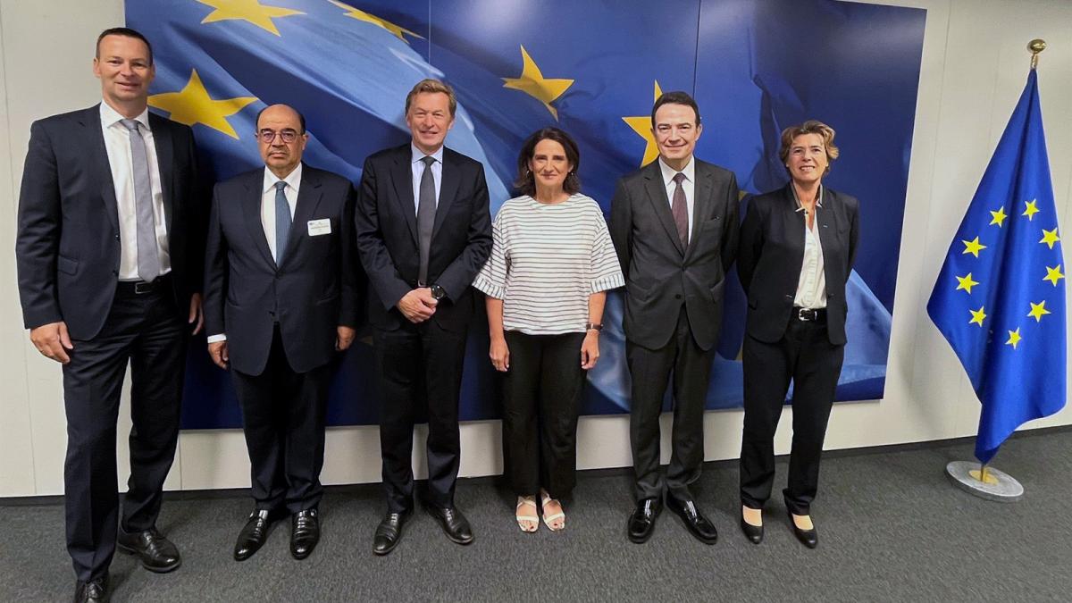 Teresa Ribera recibe a los CEOs del consorcio del corredor europeo H2med.