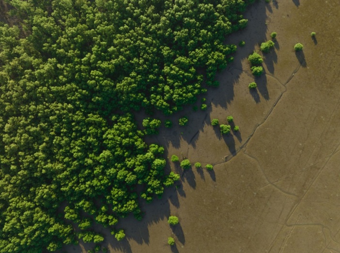 Un año crítico para los objetivos climáticos 